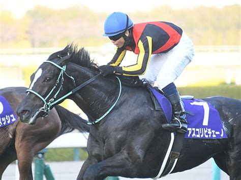 阪神ジュベナイル：競馬の未来を担う若きスターたち